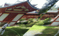 /album/photogallery/new-1-gif/